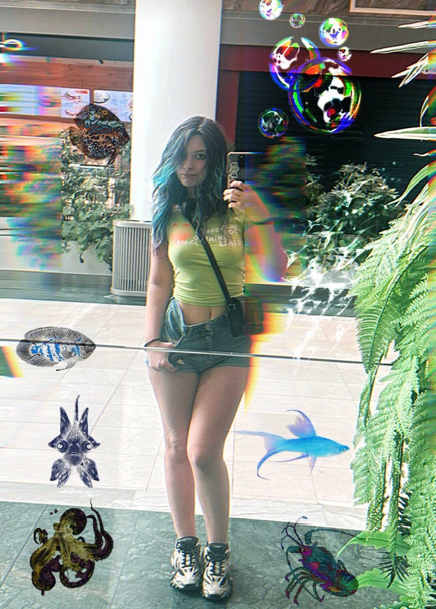 Nulpita 🦎 🐍📽🎬 tweet media