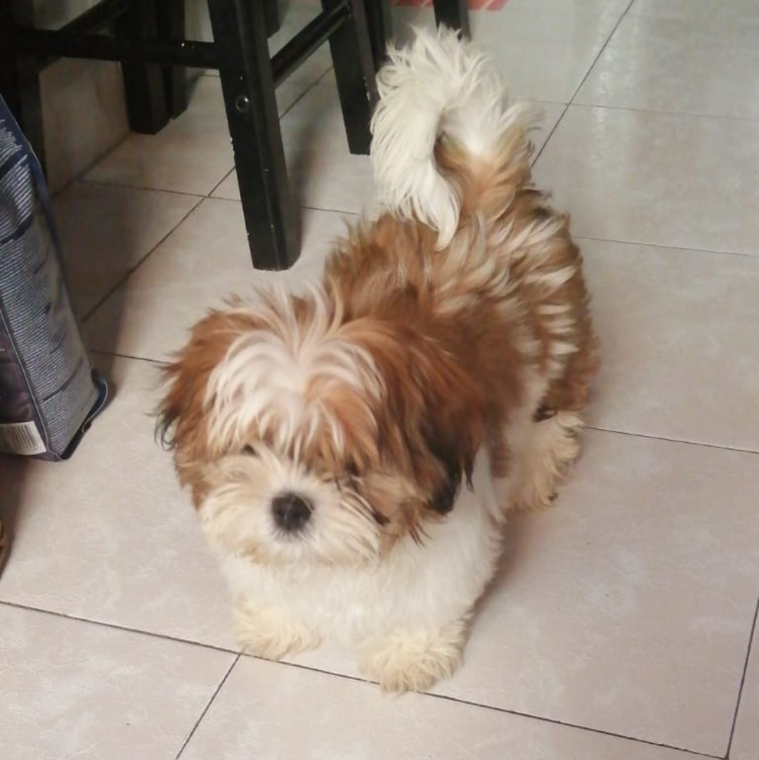 AdriGold 🍊 tweet media