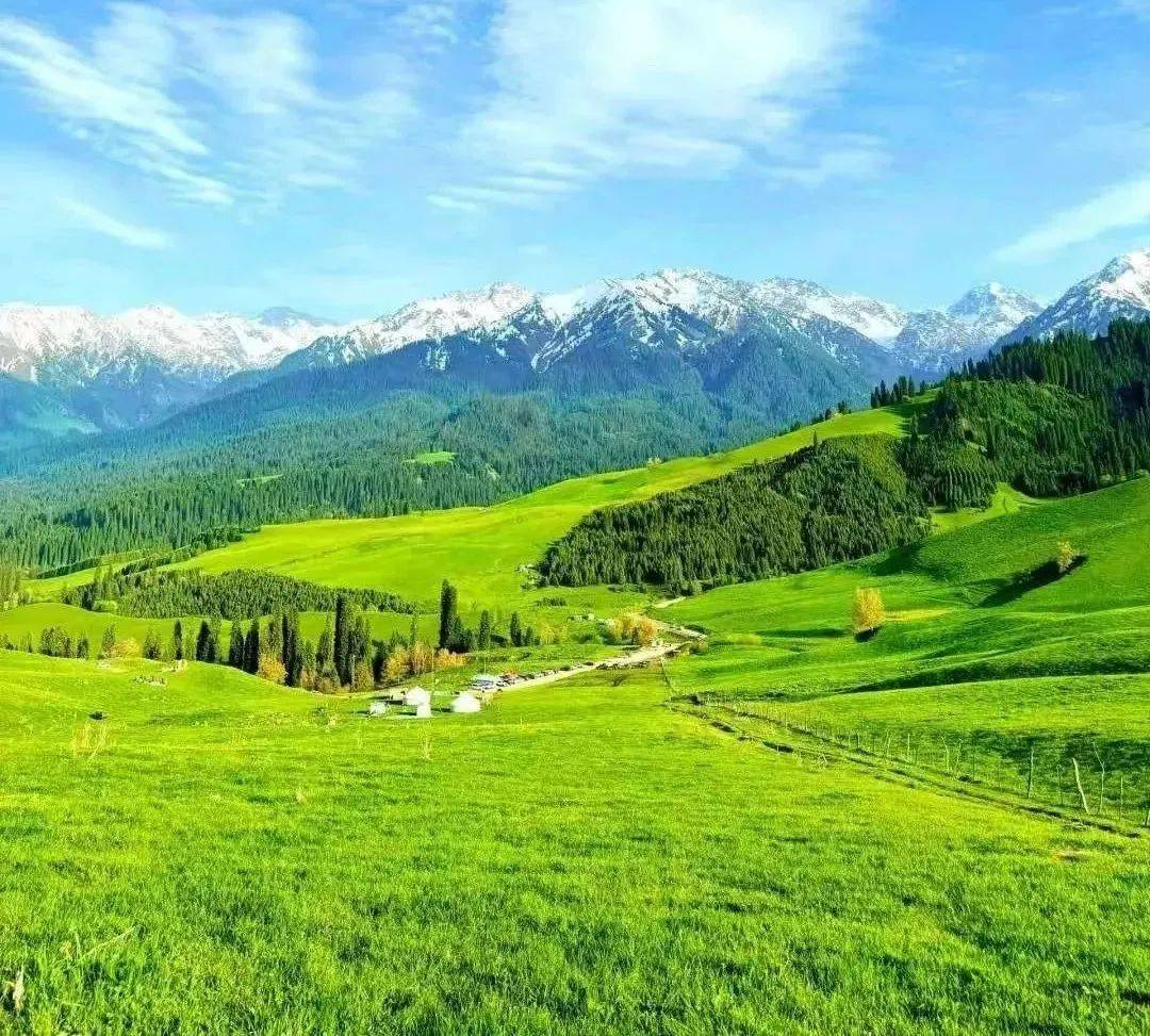 jimi maguffin tweet media