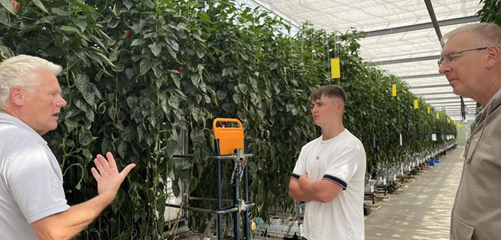 HortNews tweet media