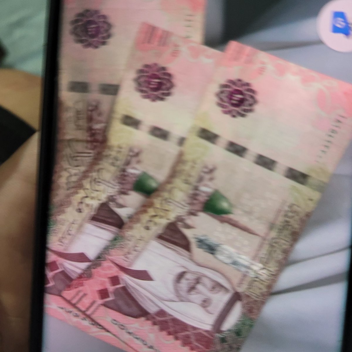 Mabelle Lane tweet media