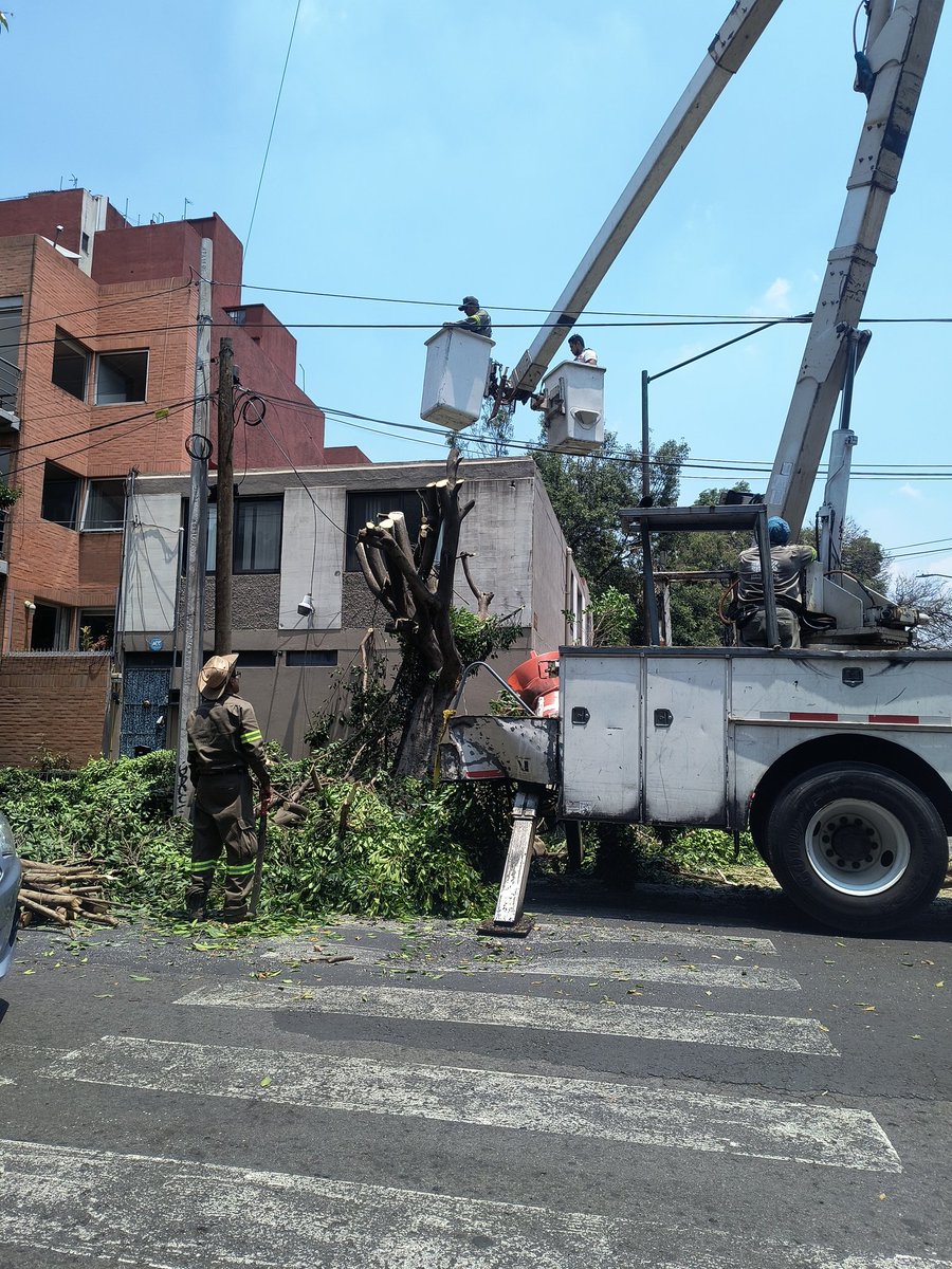 Mauricio tweet media