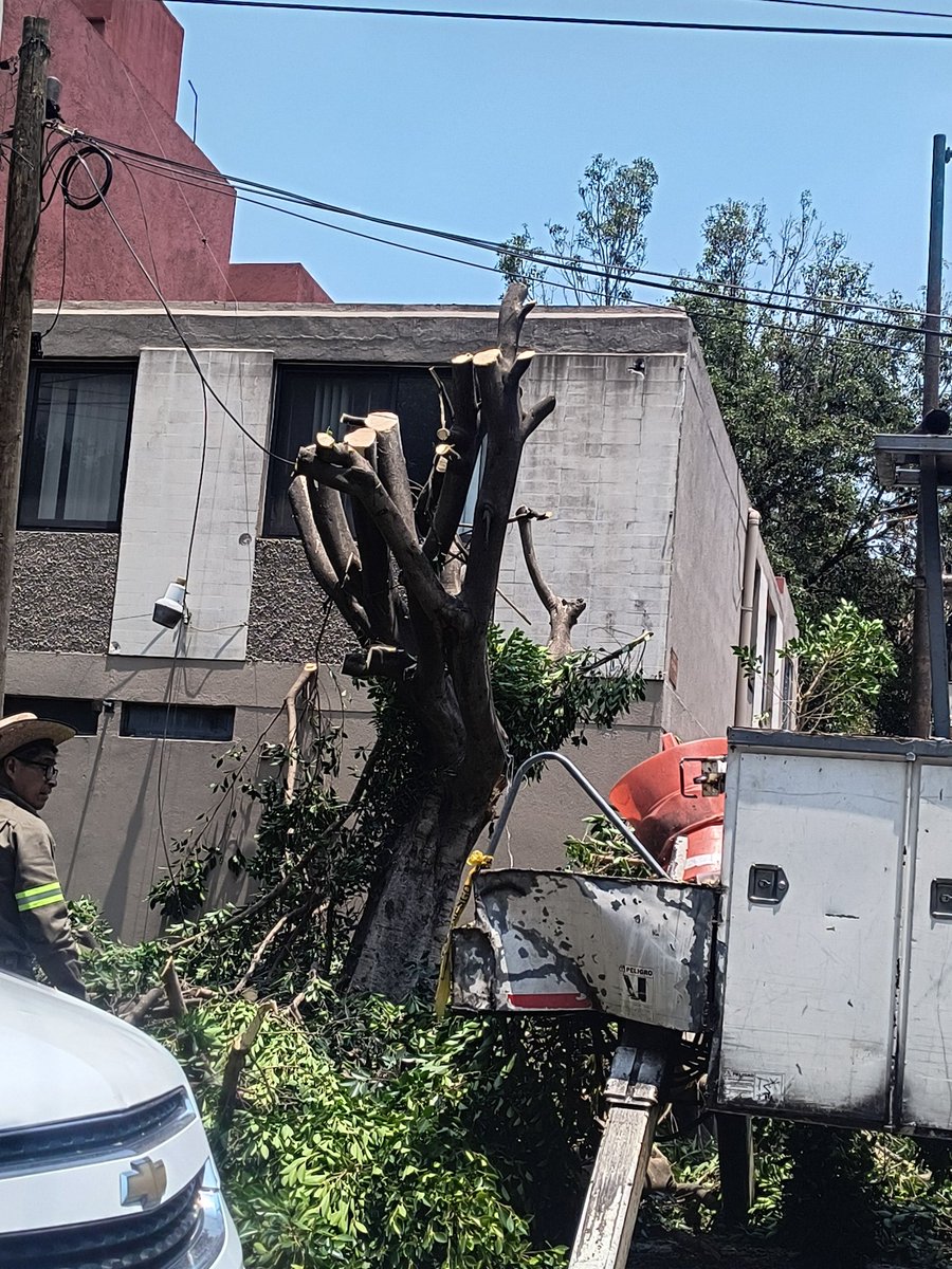 Mauricio tweet media