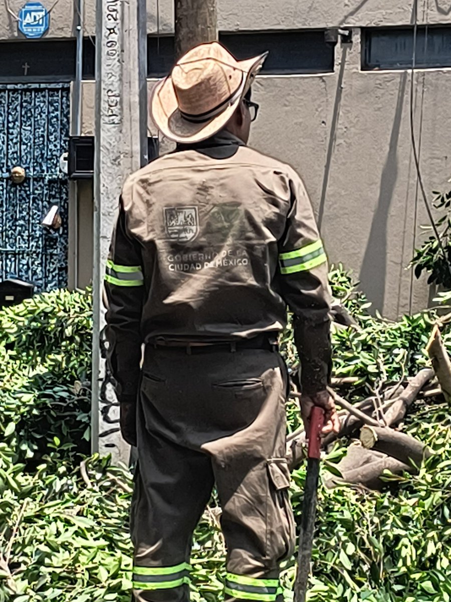 Mauricio tweet media