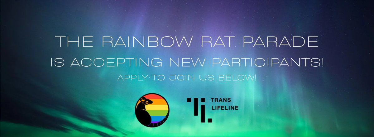 The Rainbow Rat Parade 🏳️‍🌈 🐀 JUNE 6-13 tweet media
