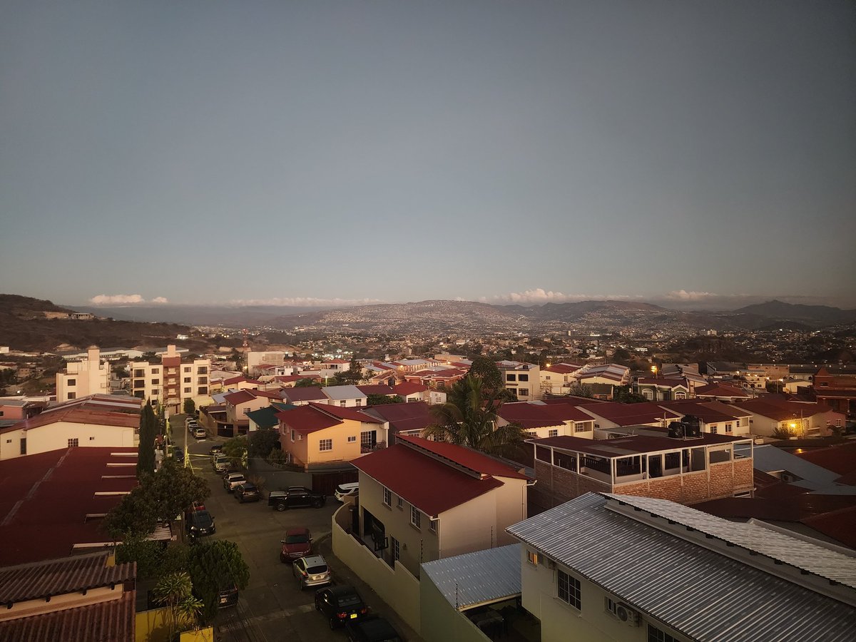 El Mapache Infiltrado 🦝 tweet media