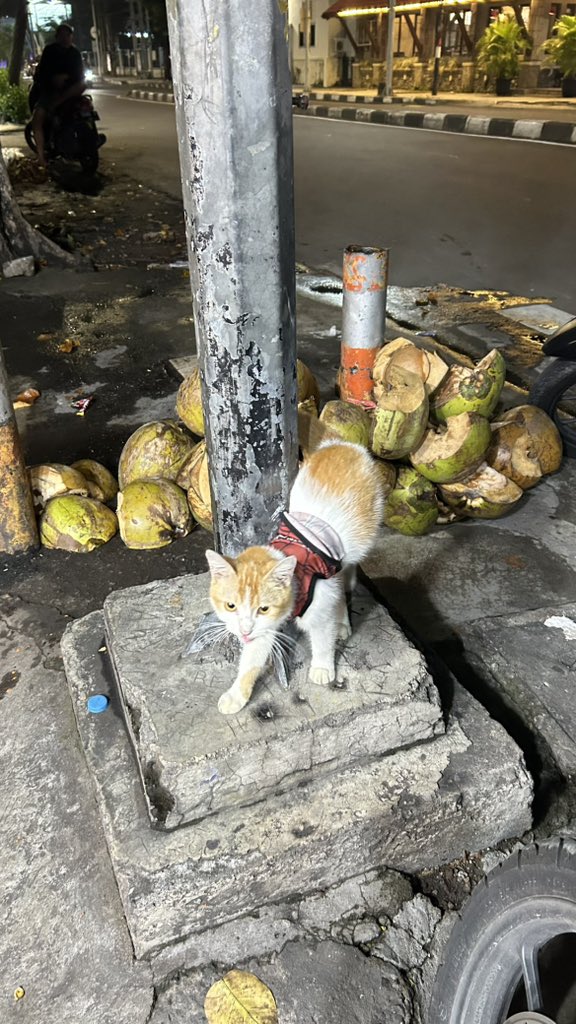 nay | Koas Dokter Gigi Muda Surabaya tweet media