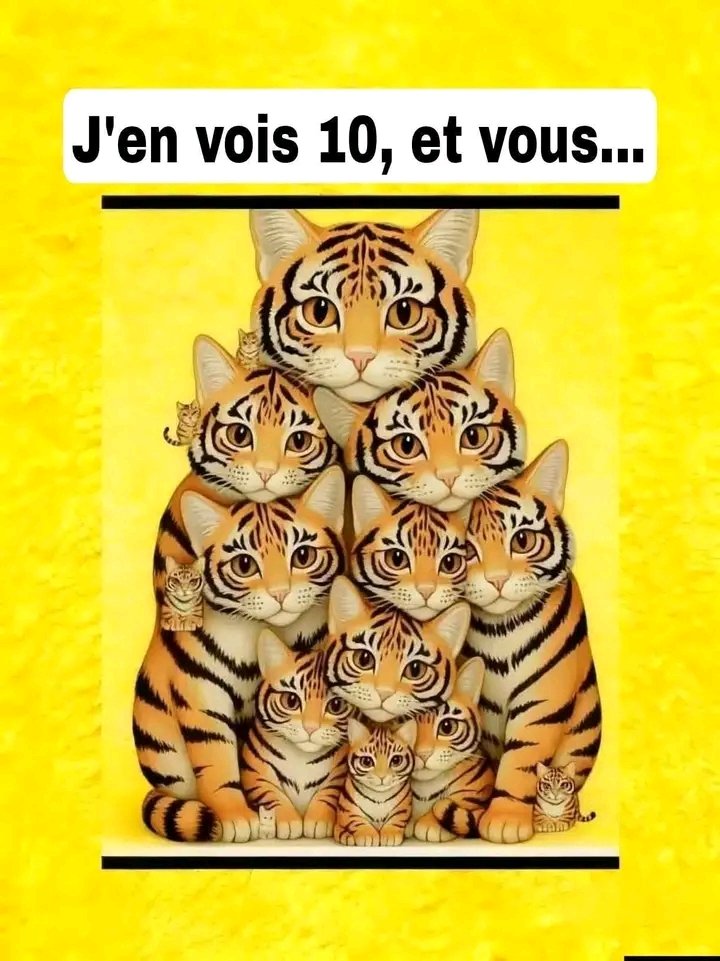 Jacob Shukuru tweet media