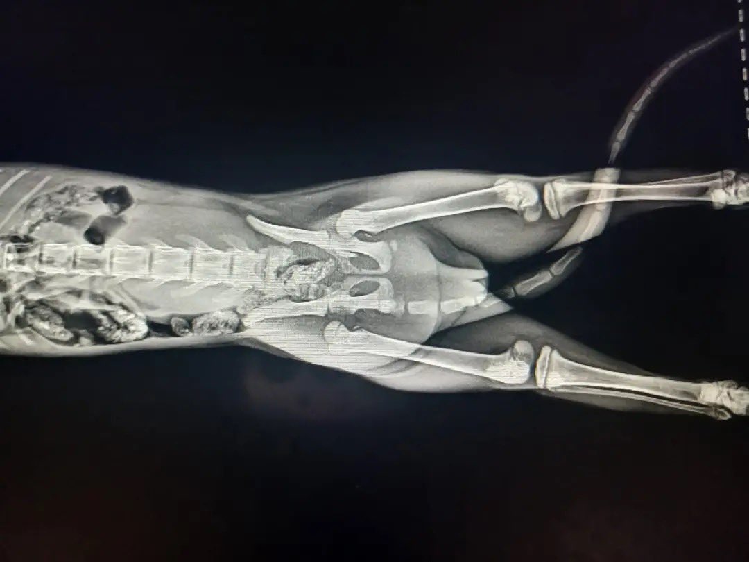 بندر 🇸🇦 tweet media