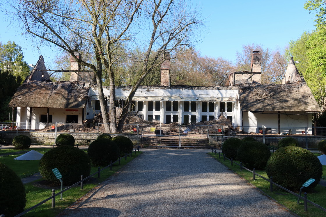 LuisenstadtFoto tweet media