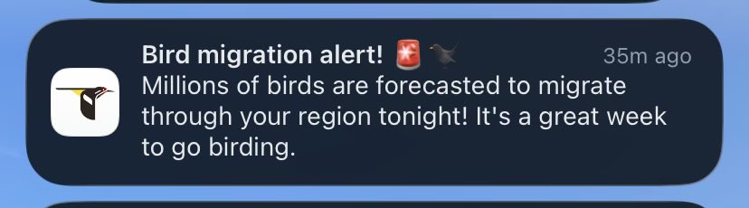 I feel like drew barrymore I can’t believe my life