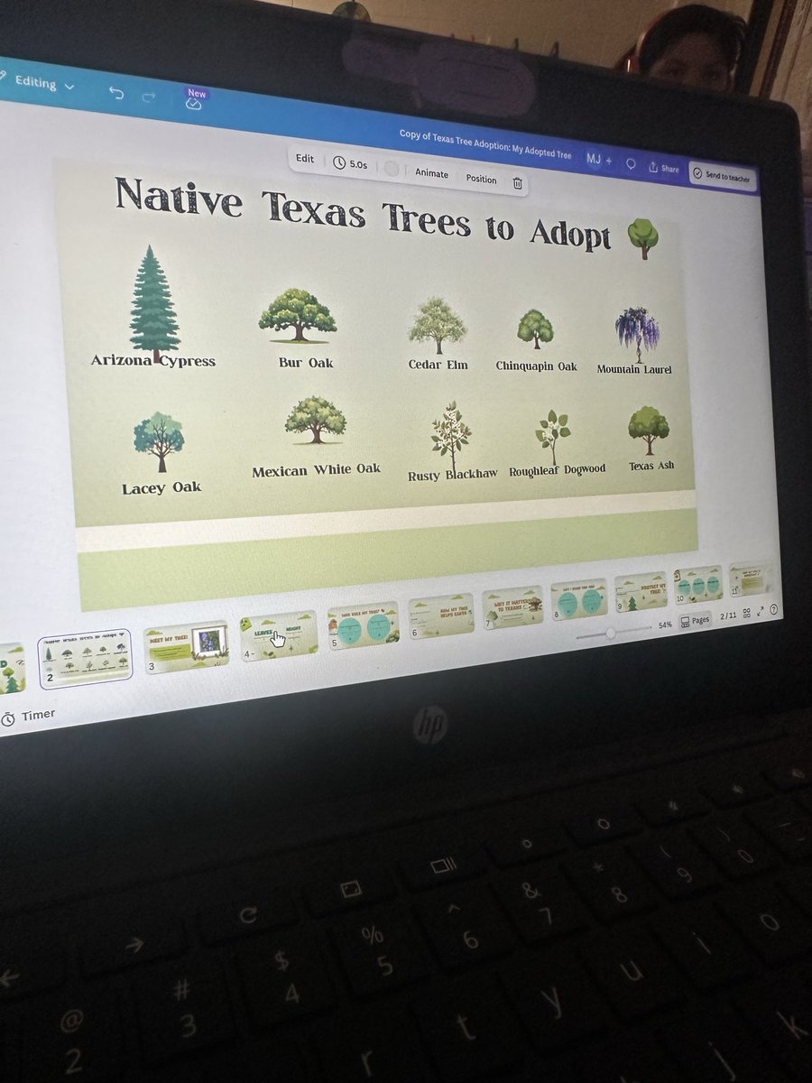 Amanda Reardon ✨ tweet media