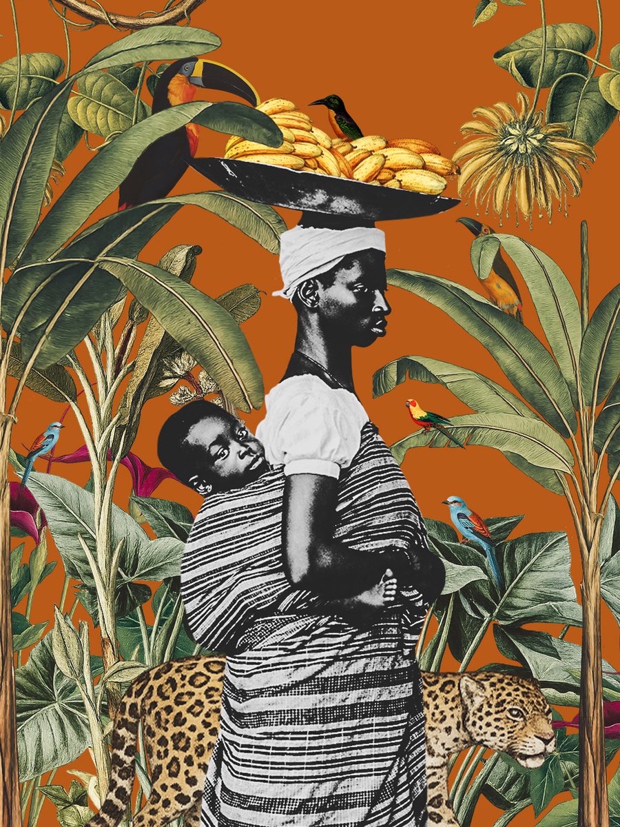 thais silva tweet media