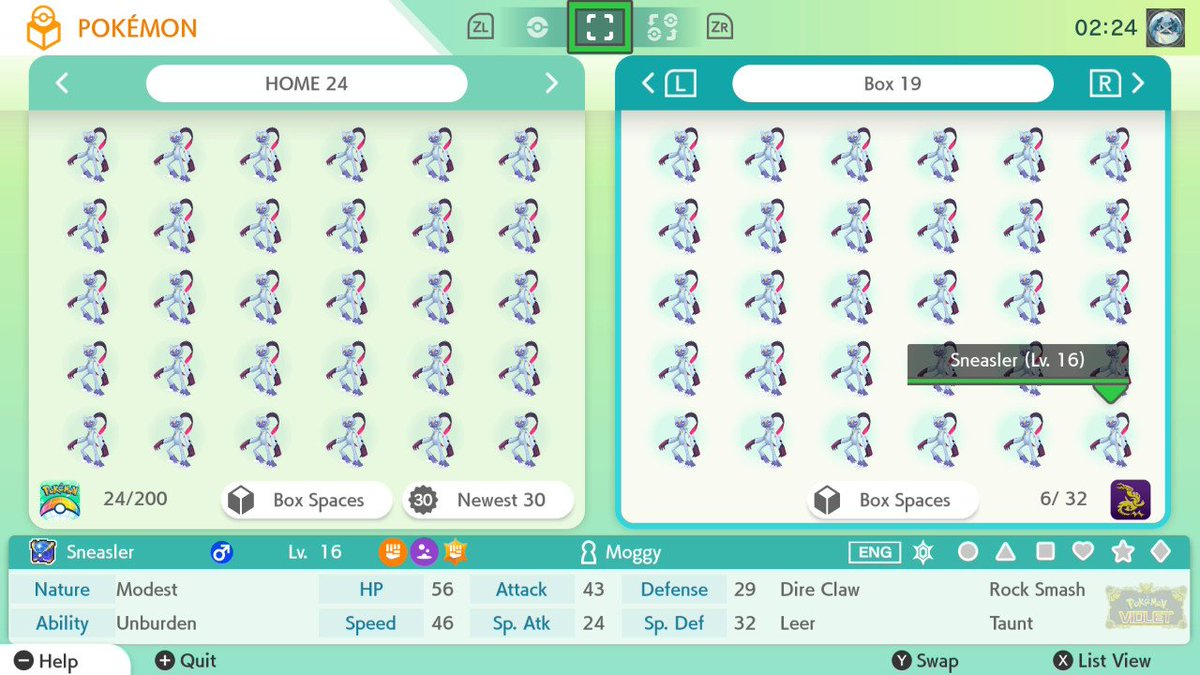 Moggy VGC: Steel Type Elite 4 tweet media