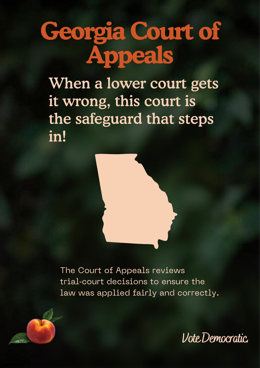 emiranda_writes's tweet photo. 👀 Who’s on the ballot?
🗳️ Georgia Court of Appeals
✅ @wootenforga
🚨 This seat will ONLY be on the May ballot.
https://t.co/BkbyYO96Gk
Wooten prosecuted trump as Deputy DA and is running against the judge that ruled to drop the case.
#peachstatedems #pushleft #gapol https://t.co/UdSg7hmjPs