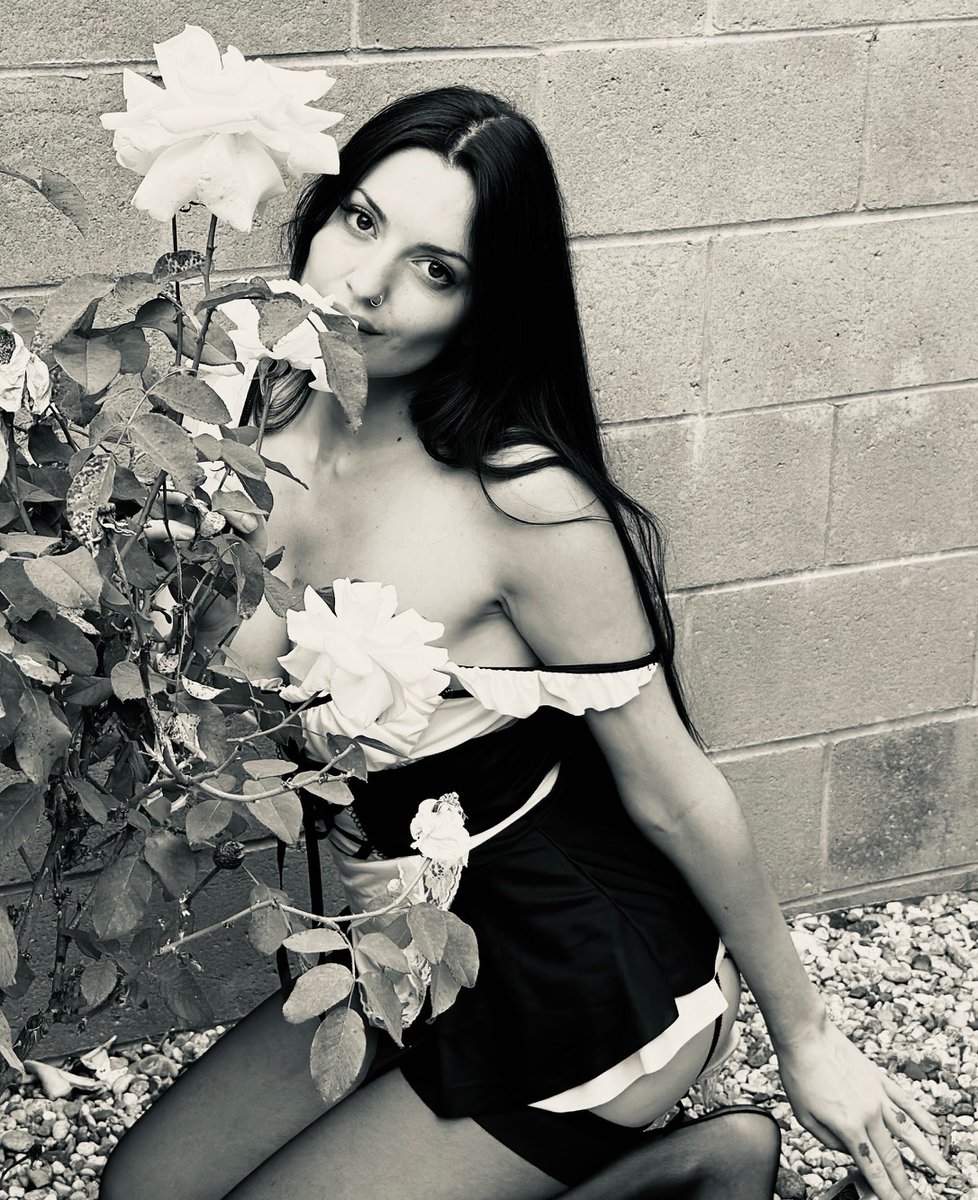 Iris Steele tweet media