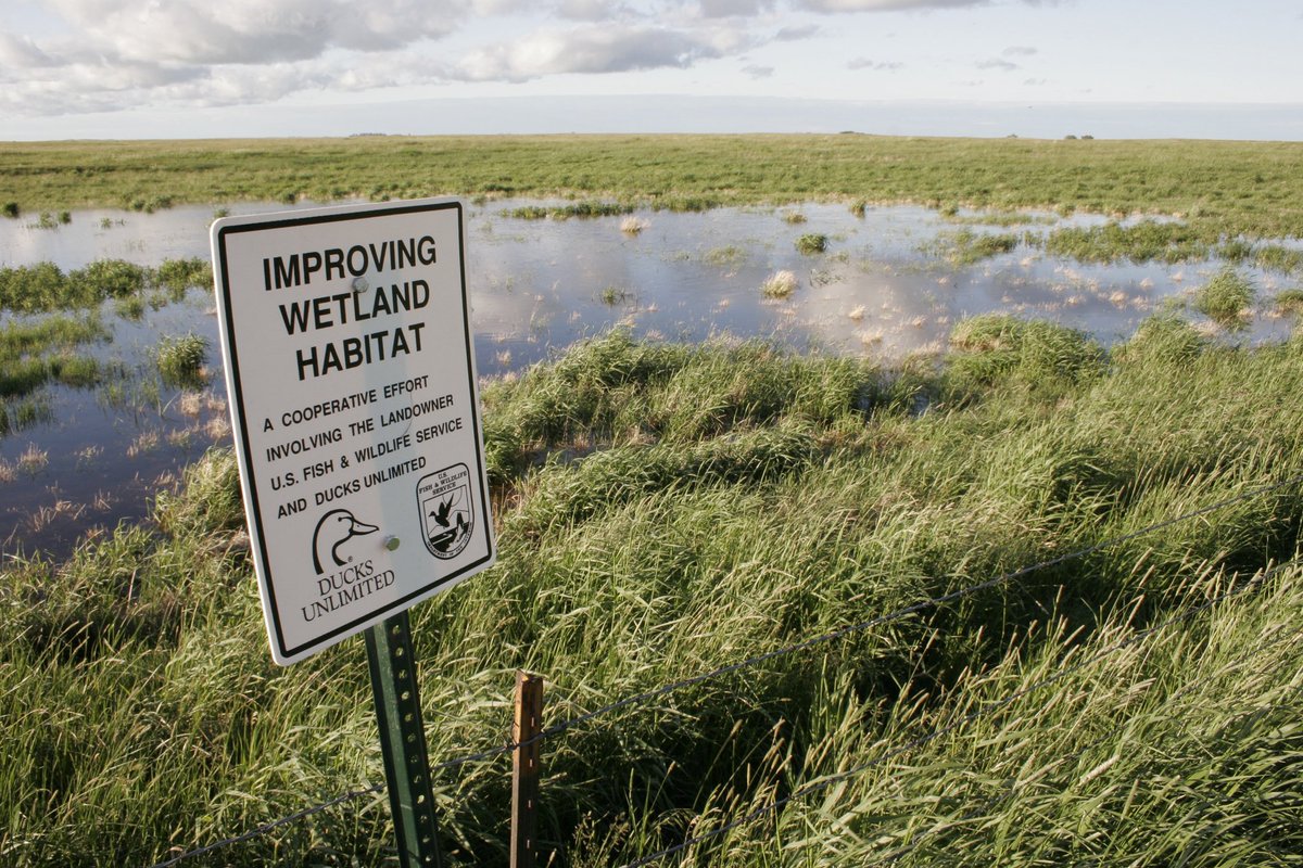 Ducks Unlimited tweet media