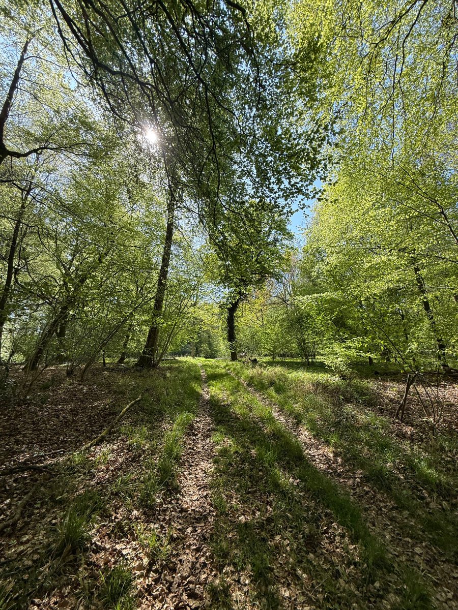 end2end_2011's tweet photo. A beautiful day for a walk https://t.co/wckM9PVKU6