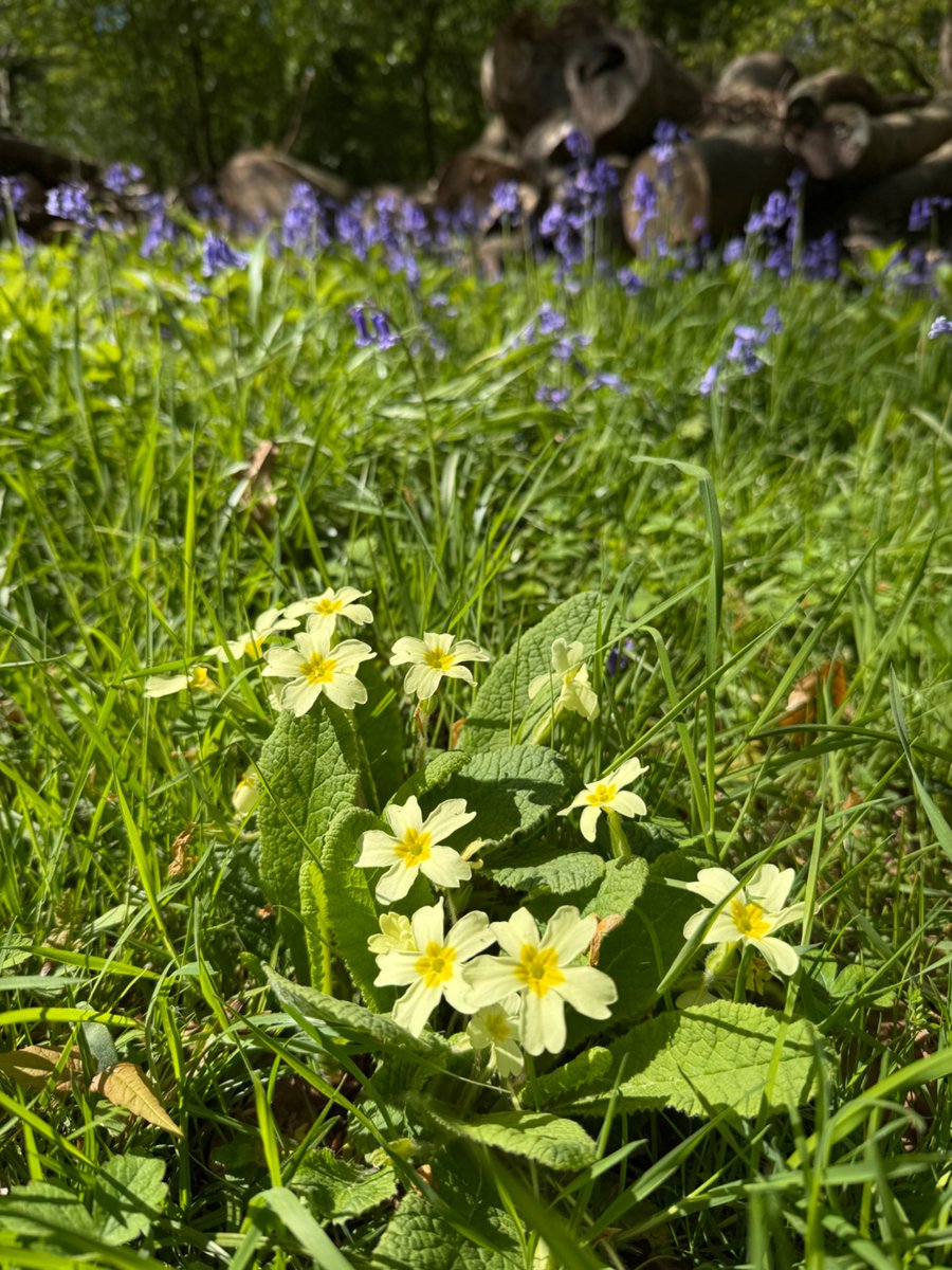 end2end_2011's tweet photo. A beautiful day for a walk https://t.co/wckM9PVKU6