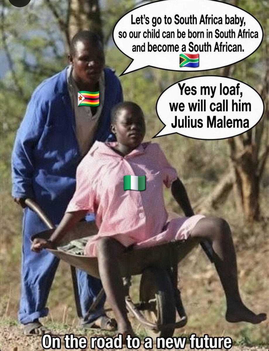 Olivia Sullivan tweet media