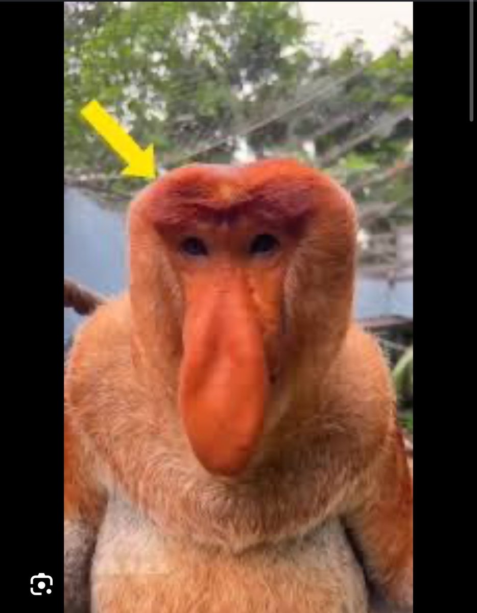 Mddavid33 tweet media