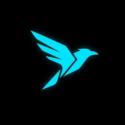 Raven Wallet tweet media