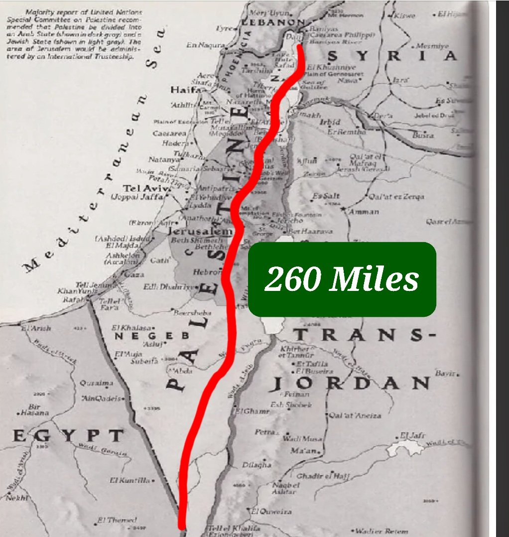 SheptonSnapper's tweet image. A nudge in this direction. 
I'm currently running 260 miles over the summer to raise money for Water of Hope. Theyre a charity who get clean water to children in Central Gaza, organised by my friend Emma.

Link to donate 🙏🏼 

chuffed.org/fundraiser/run…

#Charity #CharityRun #Gaza