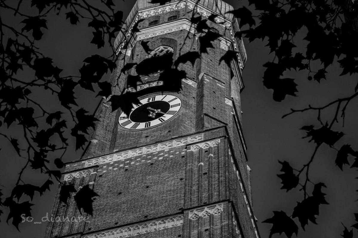 so_dianare's tweet image. 🖤🤍🖤

#photography #photographysouls #photographyLovers