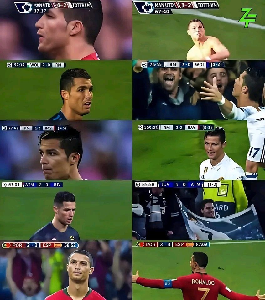 🇵🇹 tweet media