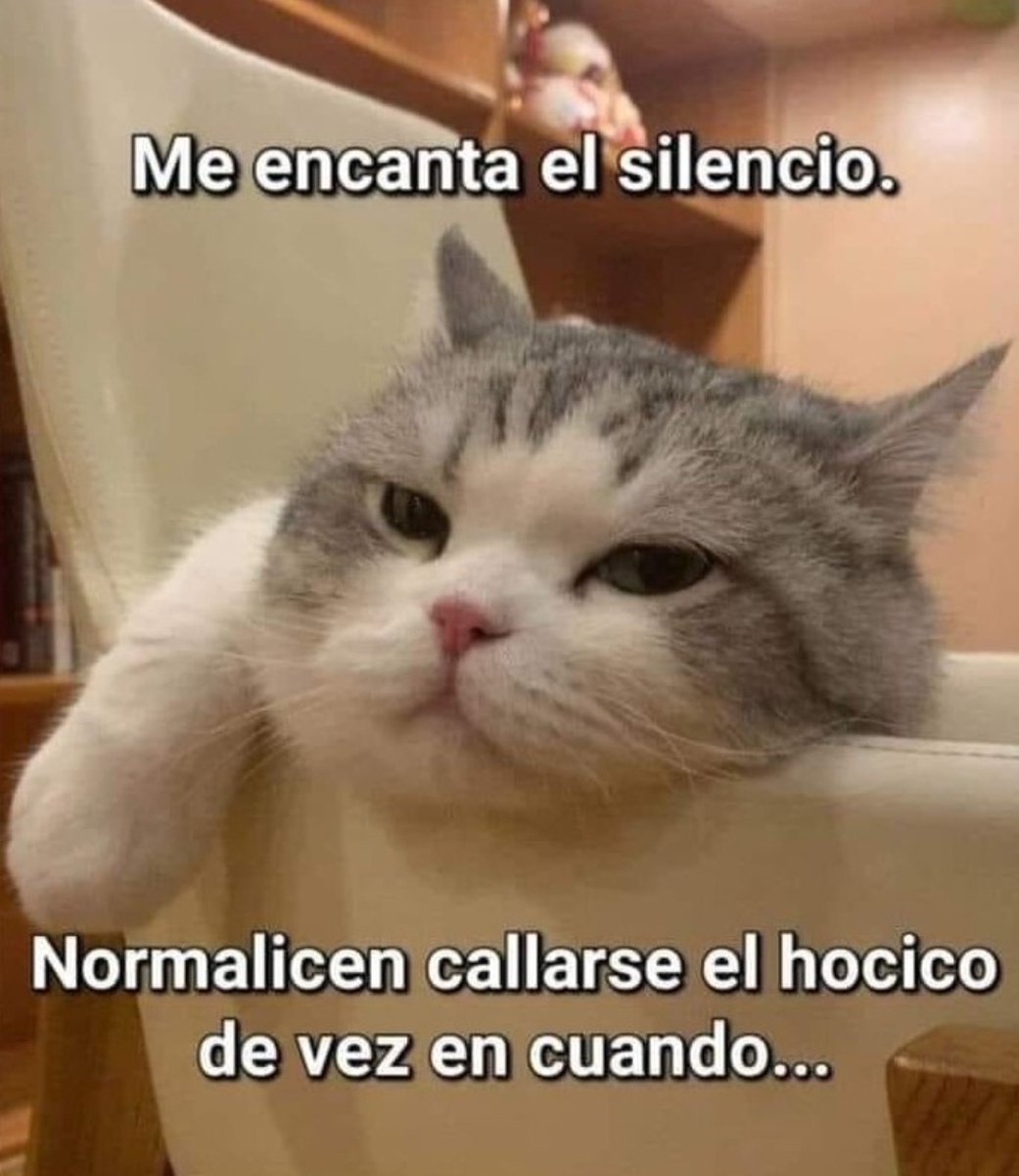 EFibel 🖤 tweet media