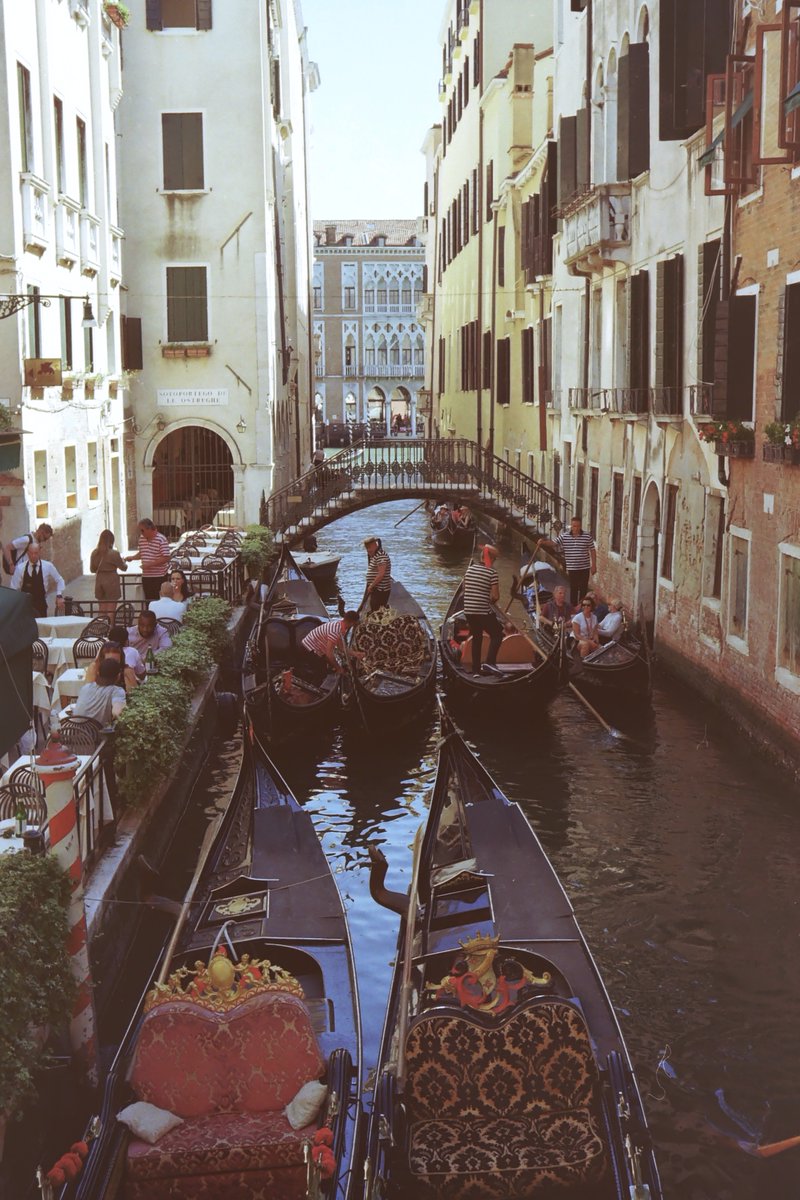 Íkaro, vírgula tweet media