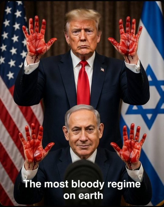 Crypto Sow tweet media