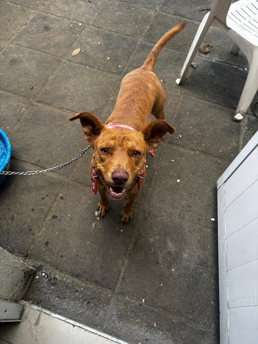 UltraLenta tweet media