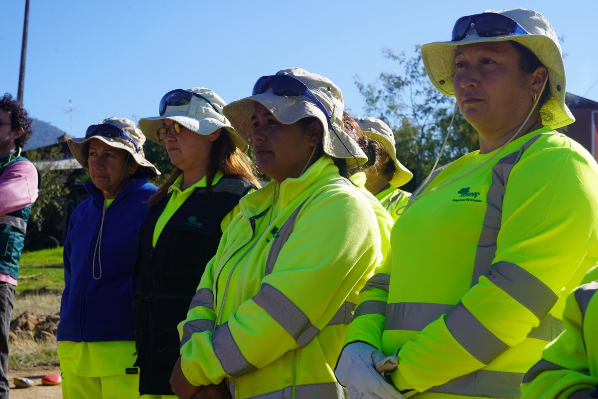 CONAF Ñuble tweet media