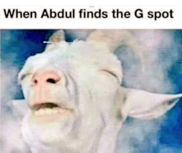 Trump Train 24/7/365 tweet media