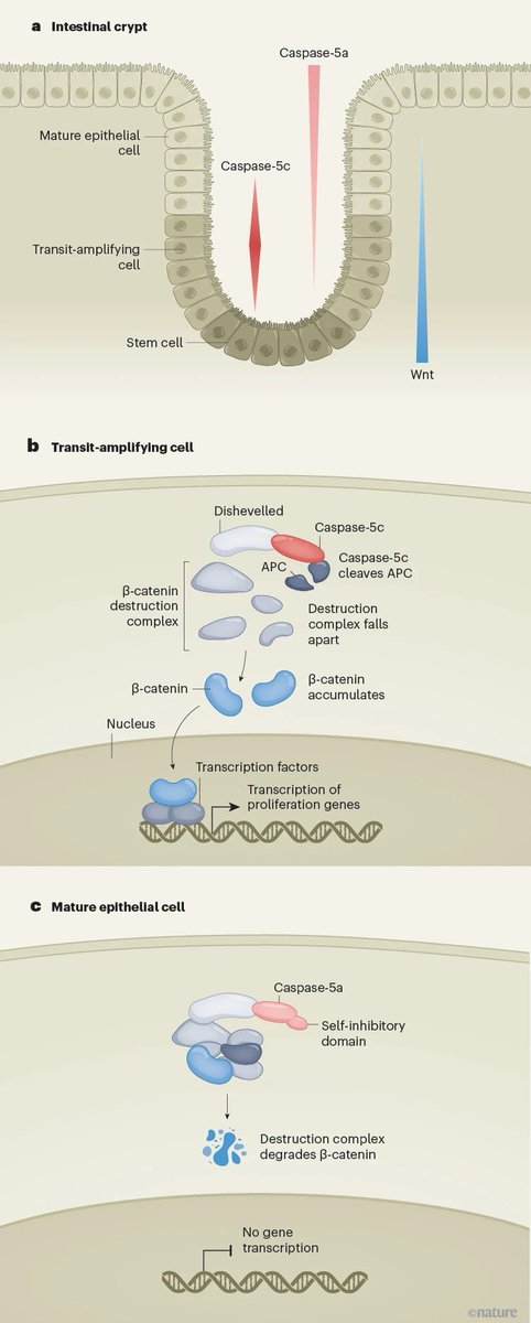 Waggoner Lab tweet media