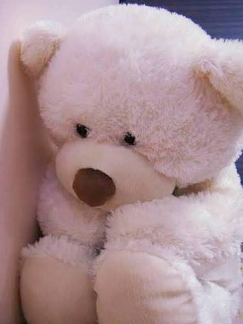 AQSAAKRAM512's tweet photo. Life isn't easy when you've:

An over thinking mind 🧠
A sensitive Heart ❤️ 
A restless soul 🥹

Eyes that notice everything 👀 
And Heart that cares to must💖 https://t.co/J9ZiHxnM35