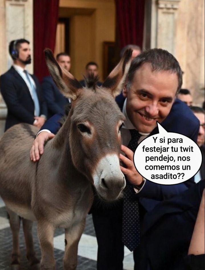 Alex_Rey tweet media