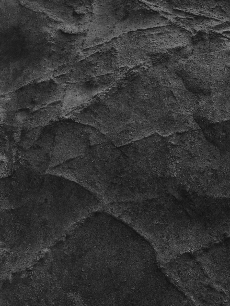 CARDELUCCI tweet media