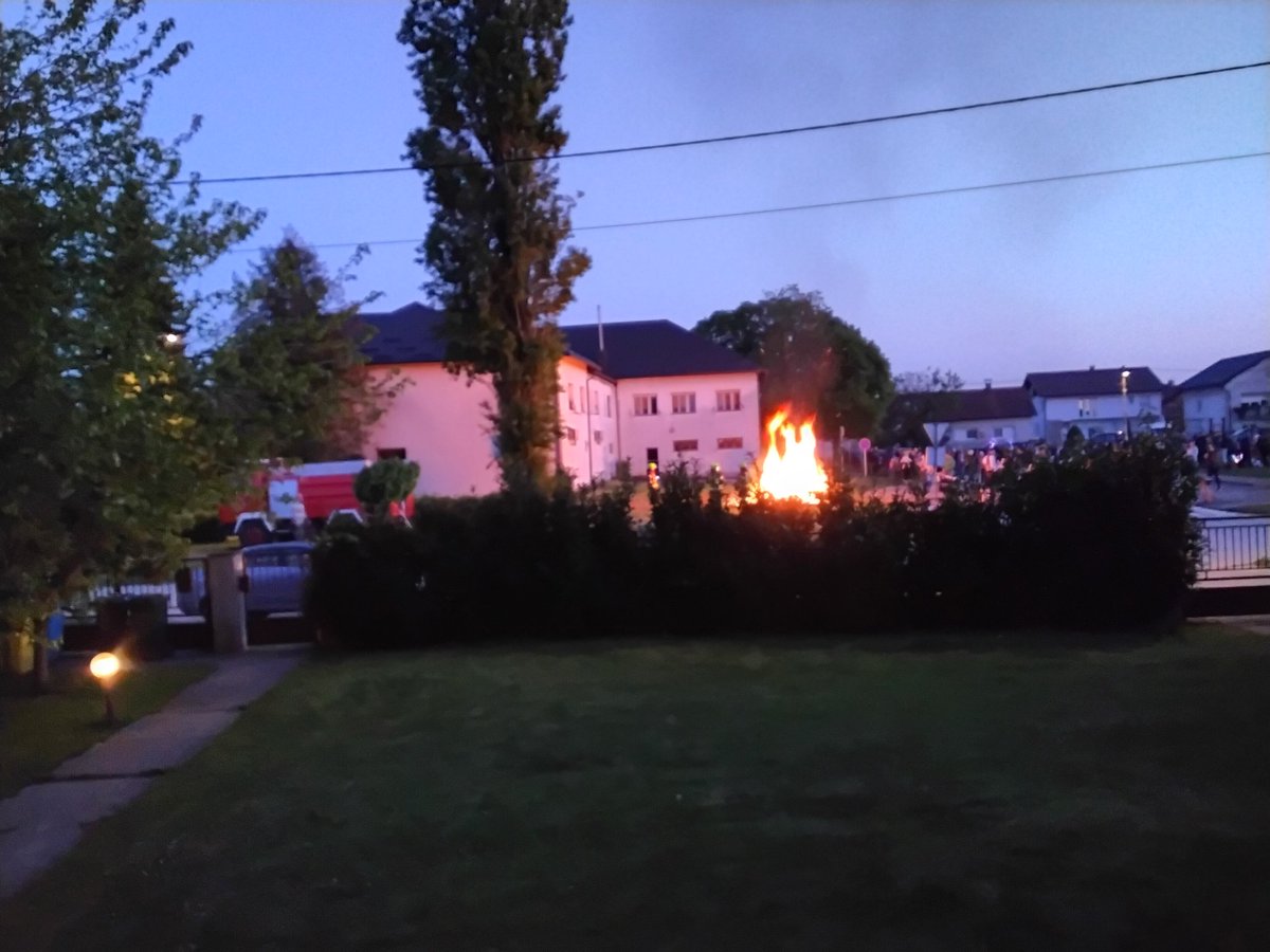 Mirjana Finderle tweet media