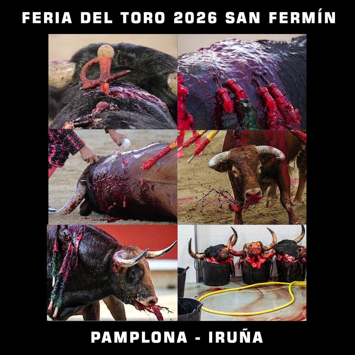 Presentado el cartel de Feria del Toro de San Fermín que esconde lo que pasa en la plaza. Este otro cuenta la realidad.
Plazan  gertatzen dena ezkutatzen duen San Ferminetako Zezen Feriaren kartela  aurkeztu dute. Beste honek errealitatea kontatzen du.

#ZezenketarikEZ