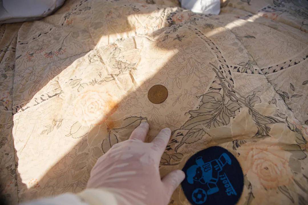 Cece Hoenig tweet media