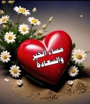 🤍💙 شــيــخــهـ💙🤍 tweet media
