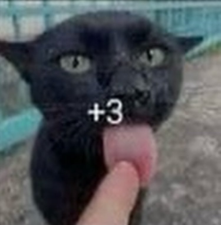 MortoDfome tweet media