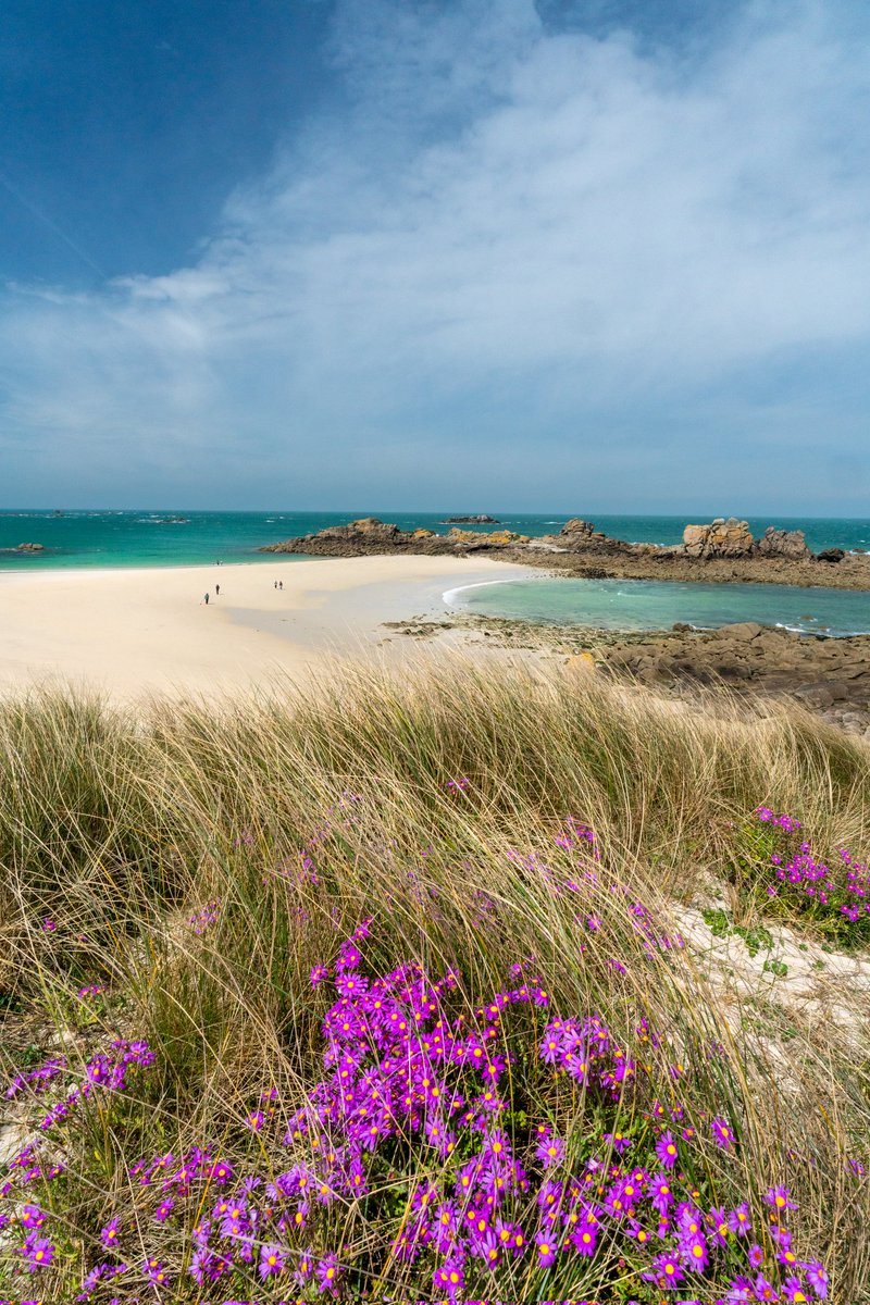 Breizhhollgaret tweet media