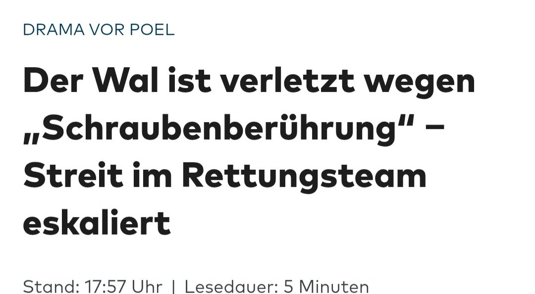 WildatHeart tweet media