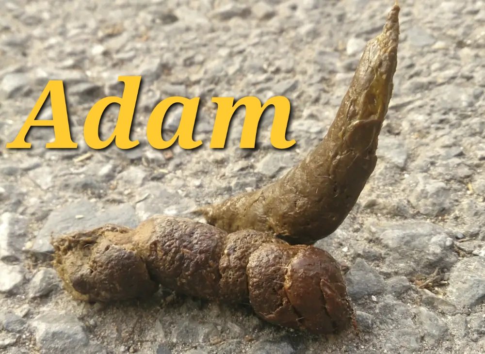 🇺🇸BillORights🇺🇸 tweet media