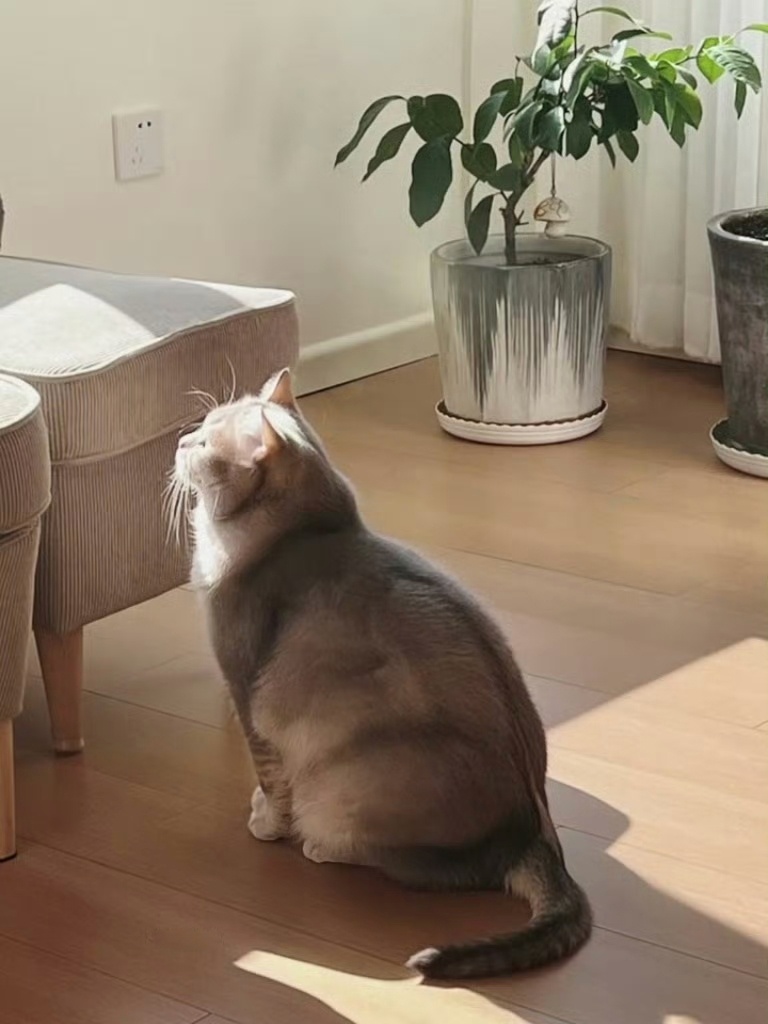 JeanneDannim tweet media