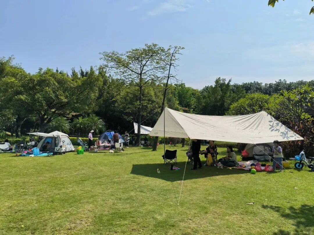 Mark James tweet media