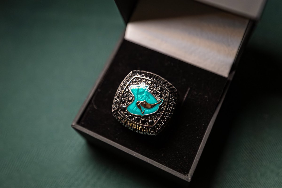 delta_pioneers's tweet photo. The 2025 Delta College Women's Soccer National Championship Ring! 💍🦆⚽️ https://t.co/y1ciKLg2WN